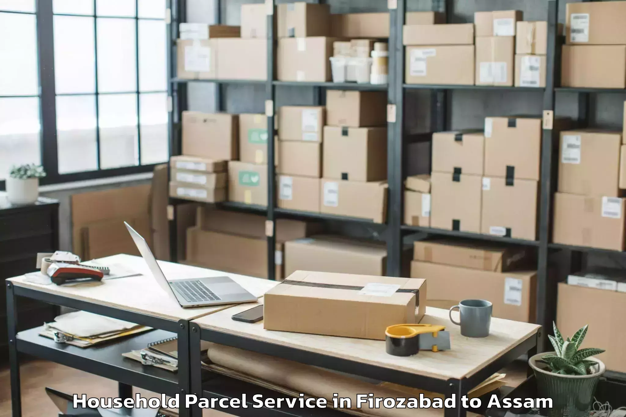 Professional Firozabad to Bokolia Household Parcel